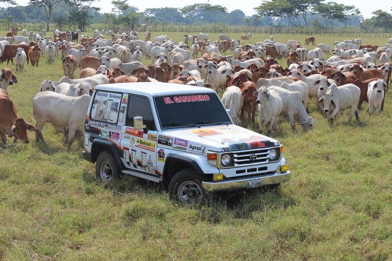 Technical Assistance